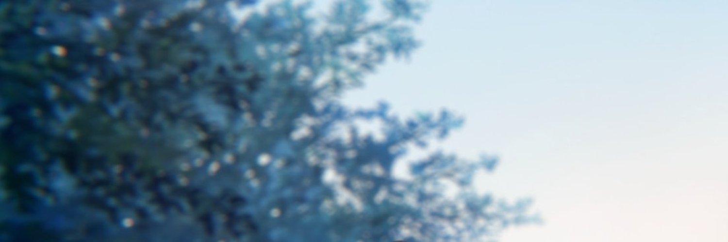 Profile Banner