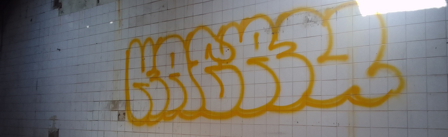 Profile Banner
