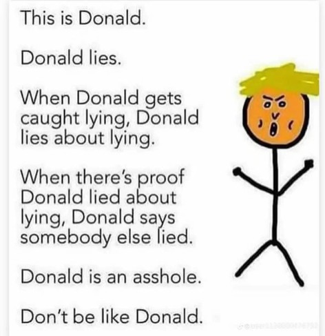 The image you provided appears to be a meme with a and critical tone towards Donald Trump. Here's a breakdown of its contents:

1. **Title**: "This is Donald."

2. **Text**:
   - "Donald lies." ( emocionally describing Trump's nature)
   - "When Donald gets caught lying, Donald lies about lying." ( indicating denial about lying)
   - "When there's proof Donald lied about lying, Donald says somebody else lied." ( shifting blame onto others)
   - "Donald is an asshole." (an insult, expressing disapproval or anger)
   - "Don't be like Donald." (an advice, suggesting not to be dishonest or blame others)

3. **Visual**:
   - A simple drawing of a figure with yellow hair, an orange head, and a sad/angry facial expression. 
   - The figure resembles Trump, hinting at his dishonesty and poor character.

The meme aims to criticize and satirize Trump's behavior, particularly his tendency to lie and shift blame. It encourages viewers to avoid such tendencies. Given the context, this could be related to political discussions or the current presidential election in the USA.
