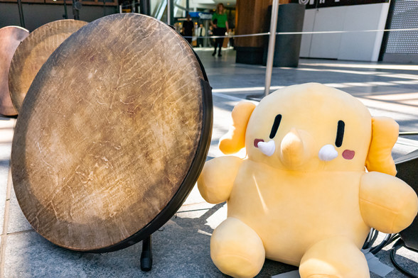 Photo of the Creature Mastodon stuffed toy sitting next to a drum in the outdoor set up for a daf ensemble on a bright, sunny day. The Creature is seated on the concrete floor of an outdoor mall, next to a leather daf that's just slightly bigger than it. Further in the background towards image-left are other dafs arranged in a semicircle.