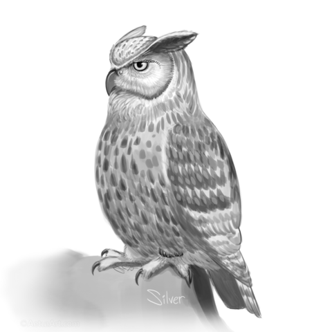 A black and white sketch of a fluffy Eurasian eagle owl.