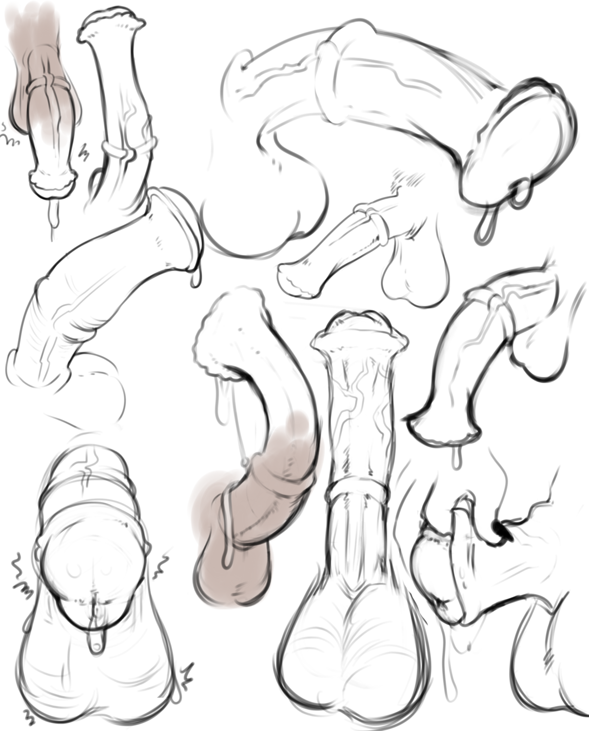 Horse long dick drawing